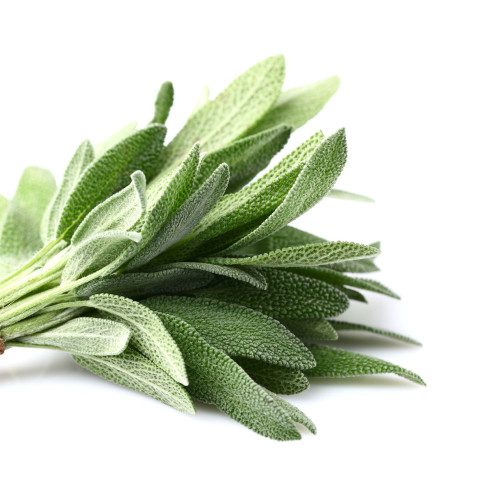 Sage ap100g 06406600043340