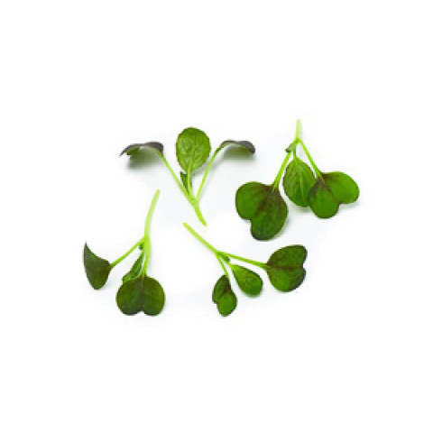 Red pak choi cress 70g/box 06415350013480