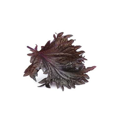 Shiso leaf 15pcs/box 06430053060418