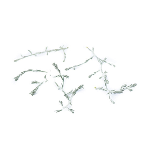 Winter herb 20pcs/box 06430053061453