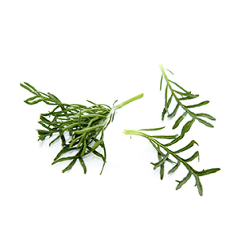 Liquorice cress 30g/box 06430053061637