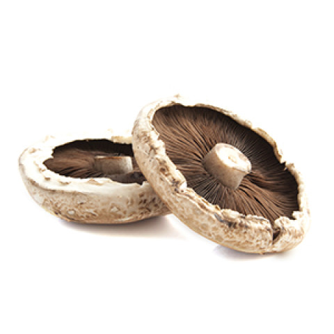 Mushroom Porto Bello 2kg 06406600060019