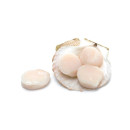 Kampasimpukka elävä 5kg n.30 kpl 02366185100002