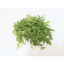 Rucola pesty 200g 06416124791030