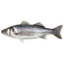 ASC Meribassi n400-600g/3kg avattu suomustettu 06406690114746