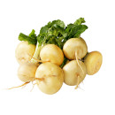 Nauris kokonainen n10kg 02466356700007