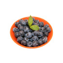 Pensasmustikka 125g/rasia 06406600047119