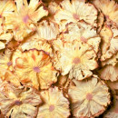 Botanica Kuivattu ananas 80g 03858893370192
