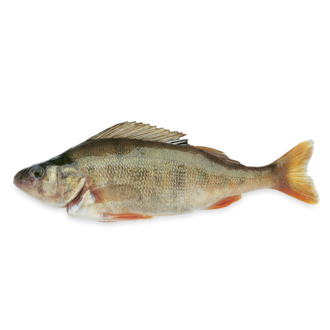 Ahven avattu n200g/5kg 02366120300009