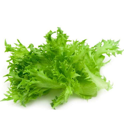 Jääsalaatti irtolehti pesty 2kg 06416124610386