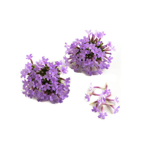 Mini Verbena, 5g/rasia 06430053060807