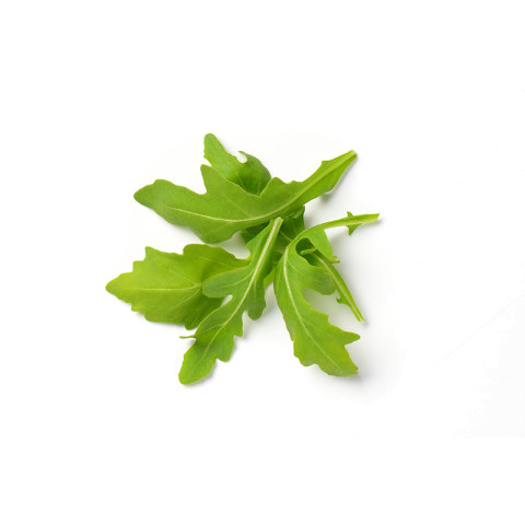 Rucola n. 1kg 07340074001590