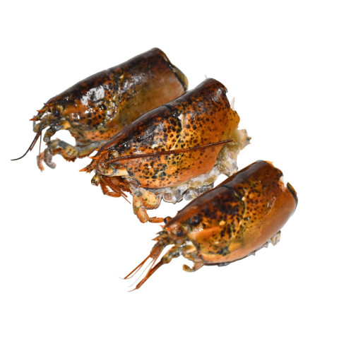 MSC Hummerinkuori raaka 11,35kg pakaste 05702008259545