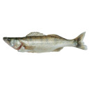 Gös hel ca750g/5kg 02366129100006