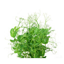 Ärtskott, 250g/påse 06406600016733