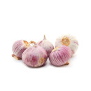 Vitlök solo ca1kg 06406600034751