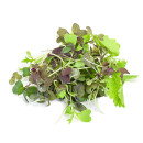 Krassemix special 70g/ask 06430053060081