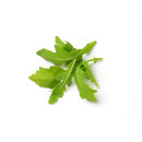 Ruccola ca. 1kg 07340074001590