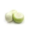 Lök skalad 5kg 06407179000390