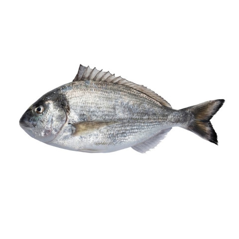 ASC Guldsparid ca 3kg rensad fjällad 02310732000000