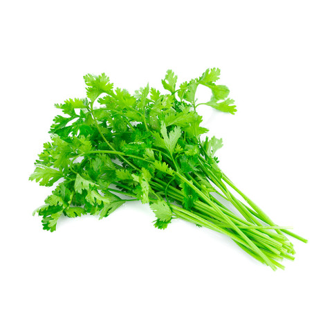 Koriander ca100g/knippe 06406600012131