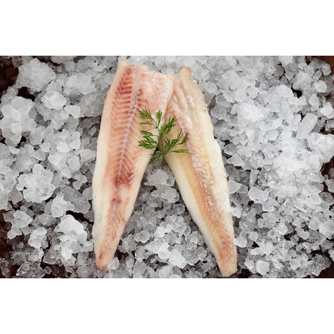 MSC Alaska sejfilé ca100-200g/5kg fryst 08719075081396