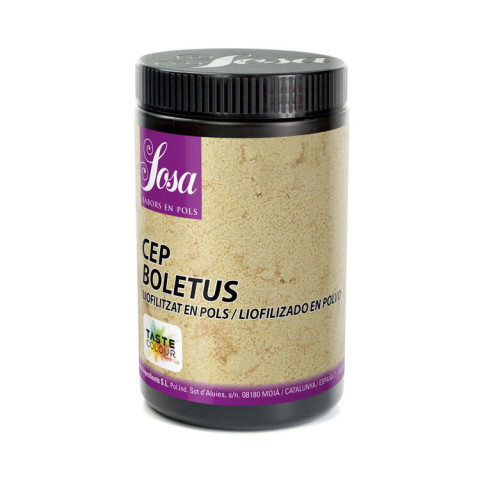 Stensopps pulver 100g frystorkad 08414933474005